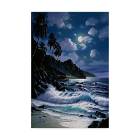 Anthony Casay 'Water Under The Moon 13' Canvas Art,30x47